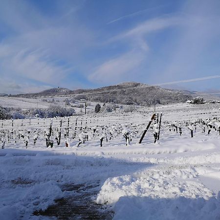 L'Altenberg Bergheim Extérieur photo
