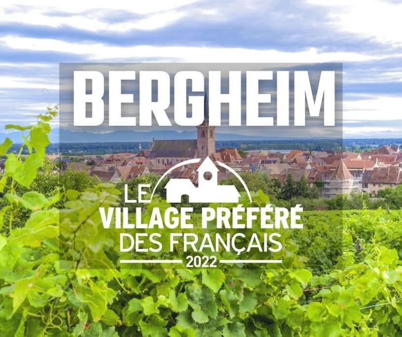 L'Altenberg Bergheim Extérieur photo