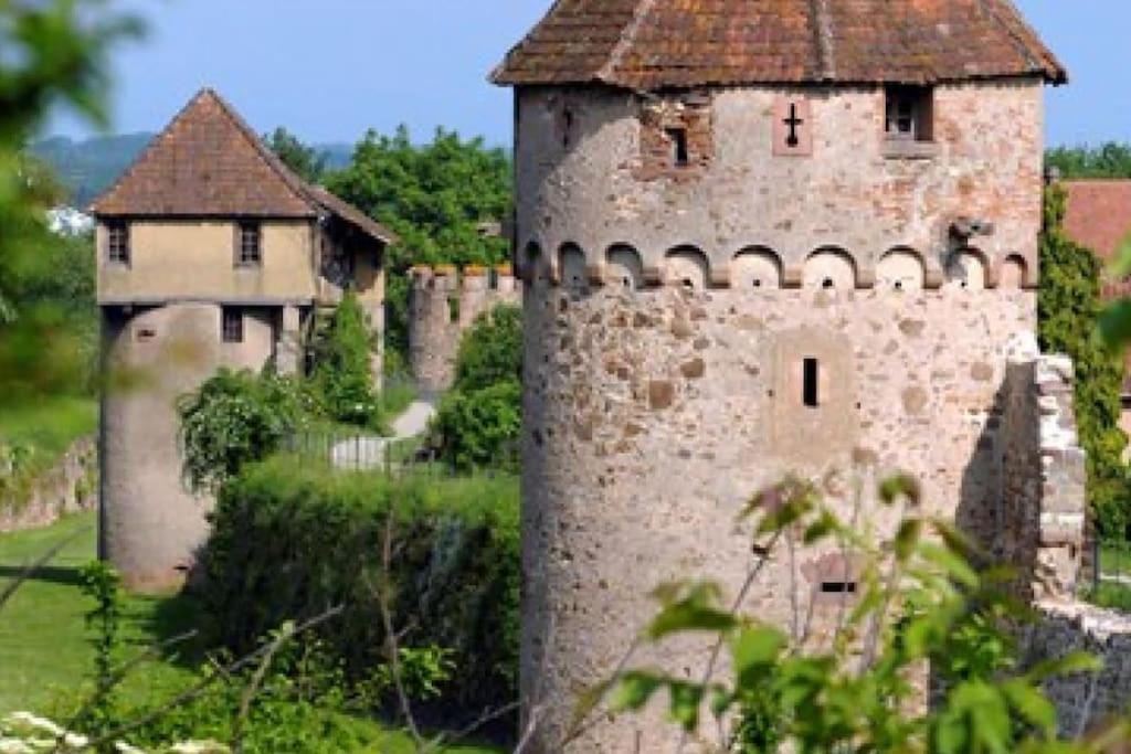 L'Altenberg Bergheim Extérieur photo