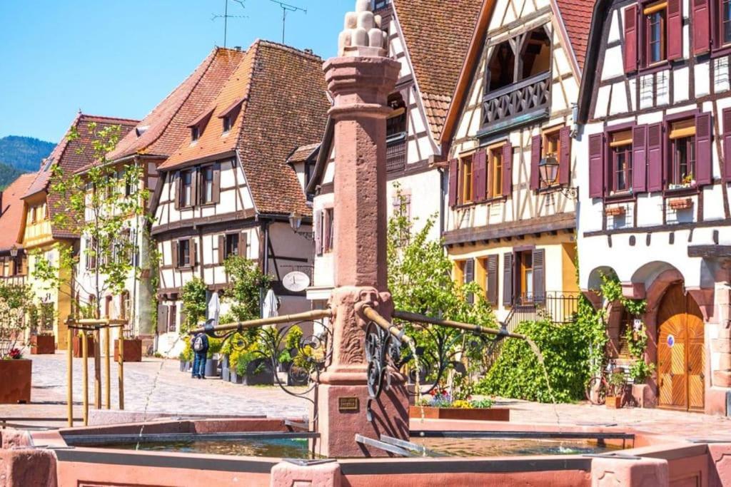 L'Altenberg Bergheim Extérieur photo