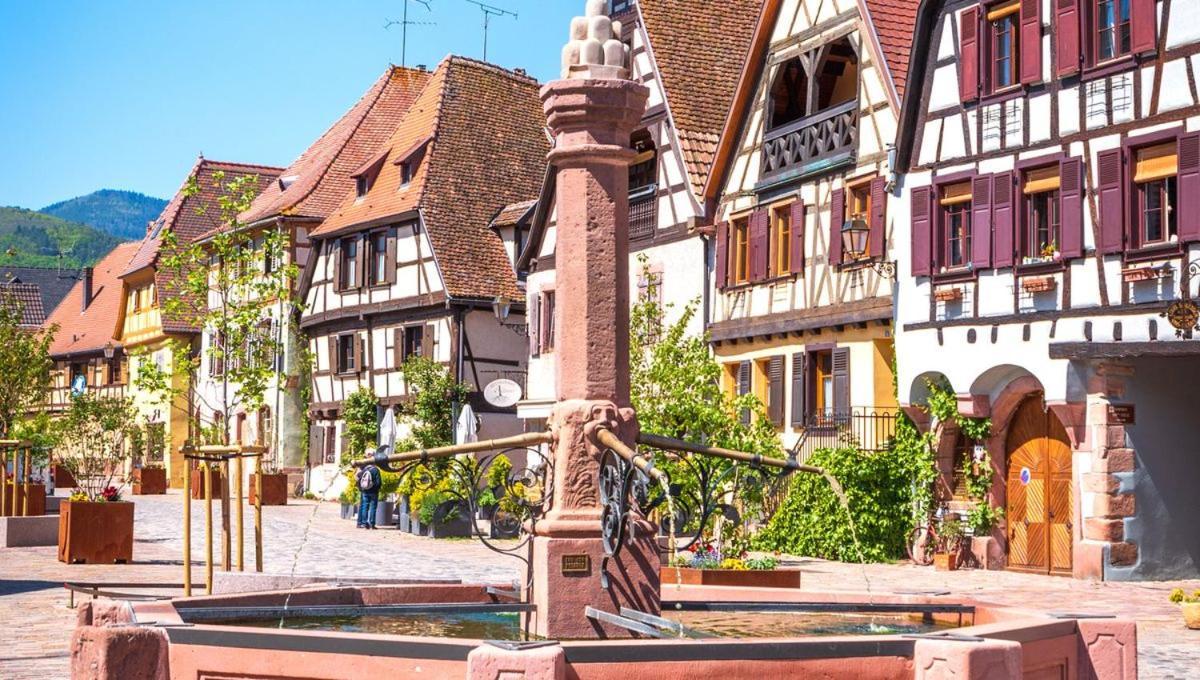 L'Altenberg Bergheim Extérieur photo