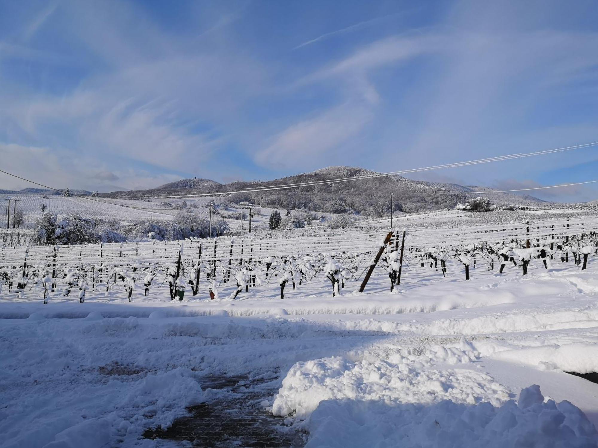 L'Altenberg Bergheim Extérieur photo